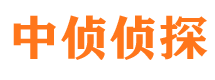 平鲁捉小三公司